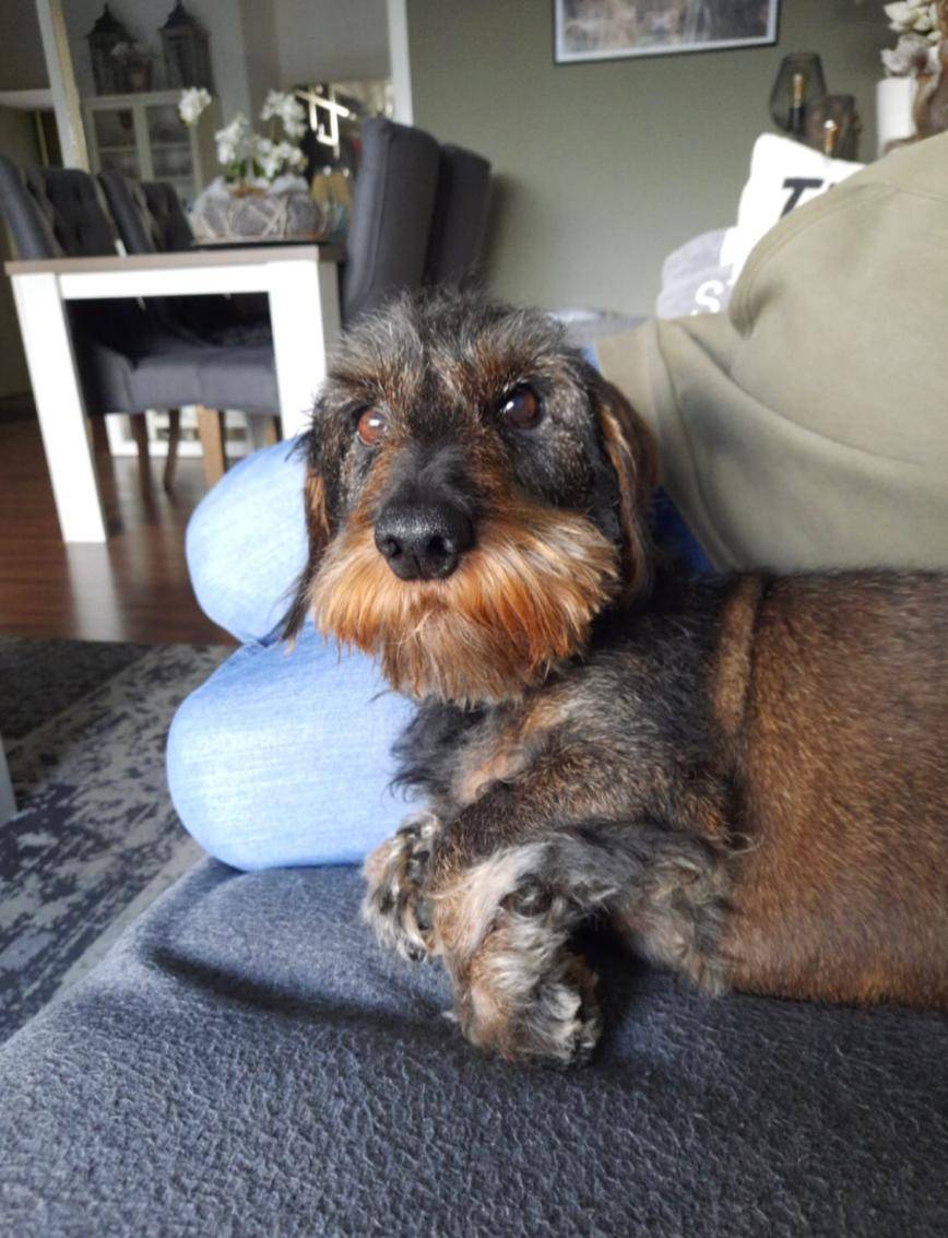 PHOTO-2024-02-26-18-33-41